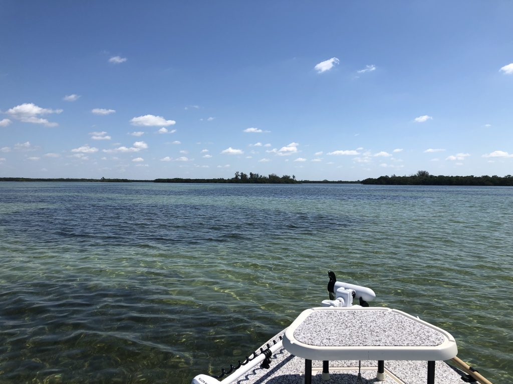 Pristine waters of Terra Ceia Preserve. 